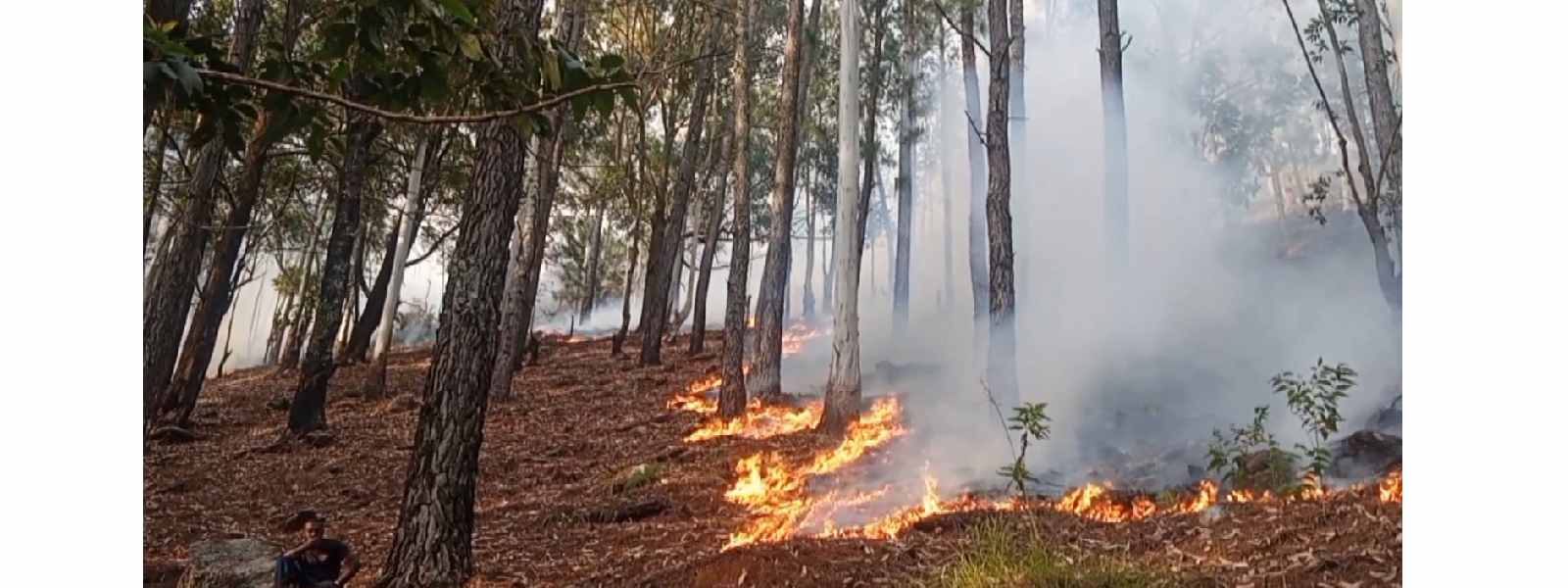 රාවනා ඇල්ල රක්ෂිතයේ ගින්න තවදුරටත්..